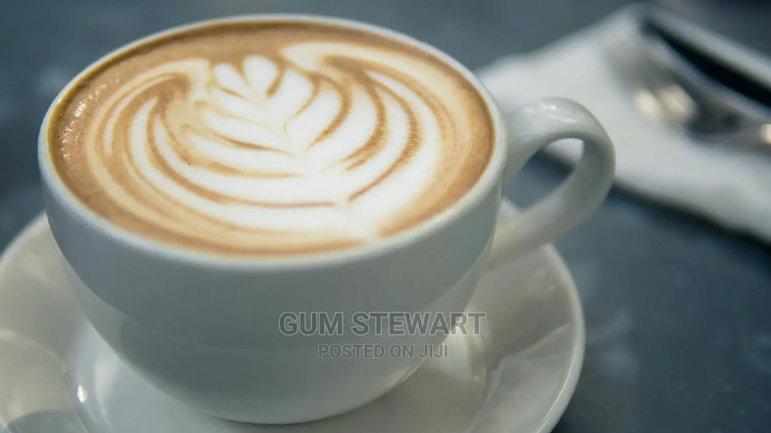 Proffesional Barista Skill Training