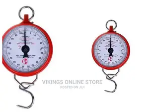 Portable, Hook Type 100kg Weighing Scale, Red