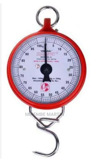 Spring Scale
