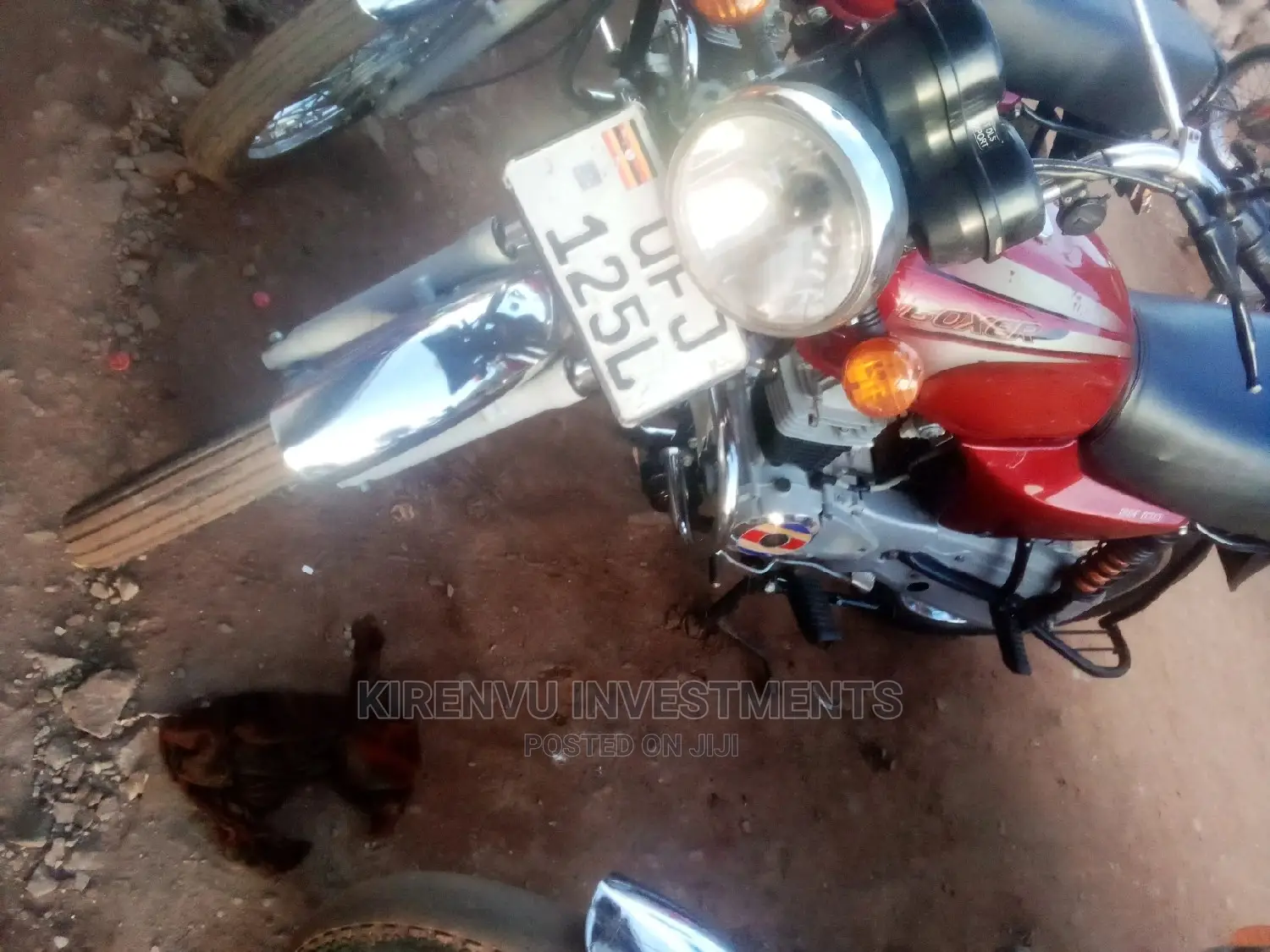 Bajaj Boxer 150 UG 2019 Red