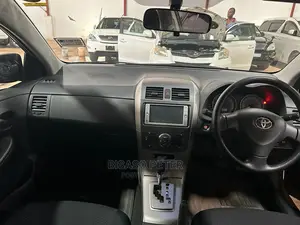 Toyota Corolla Fielder 2009 Gold