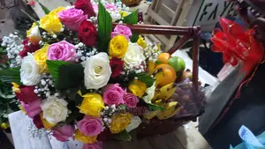 Intro Basket