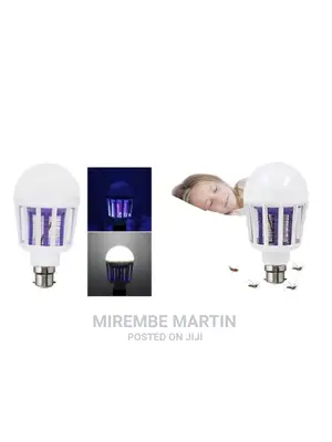 2 in 1 Mosquito Killer Lamp