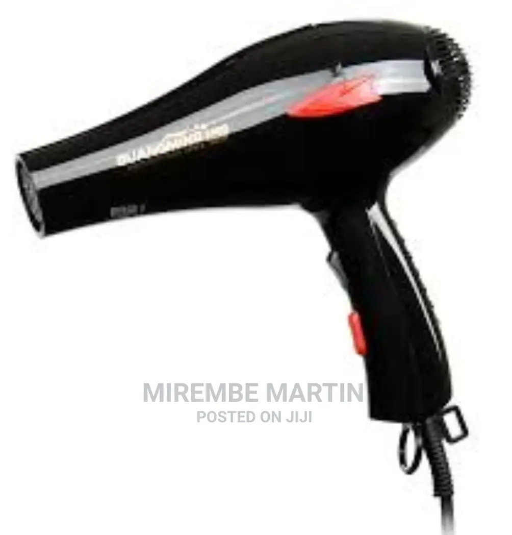Hand Hair Dryer