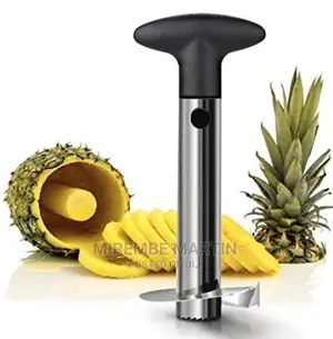 Pineapple Cutter