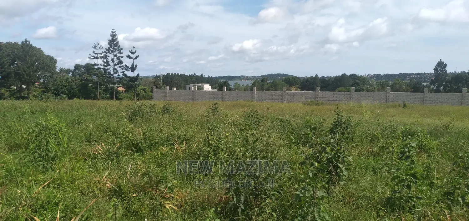 Verybeautiful Plot Over Looking Into Lake Quicksale Ntebe Rd