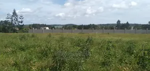 Verybeautiful Plot Over Looking Into Lake Quicksale Ntebe Rd