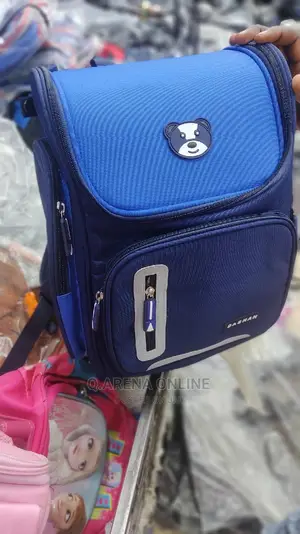 Classy Backpack / School Bag