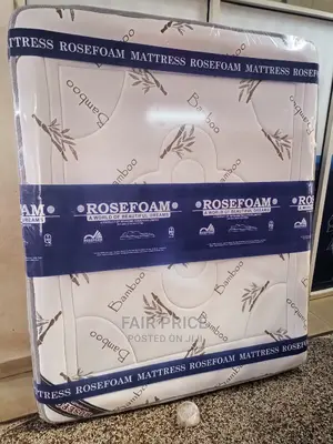 Spring Mattress Double Layer 4*6 in 10 Inches (White)