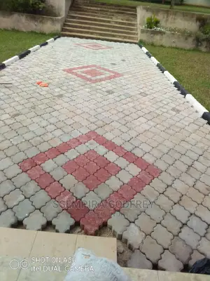 Installer of Pavers in Central and Overseas With Experts