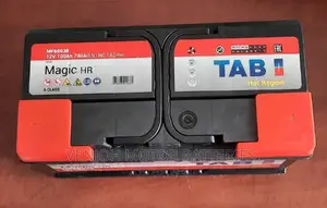 Din100 Made in Europe Tab Car Battery 