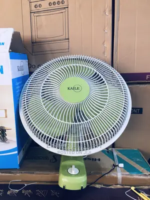 Wall Fan Brand New