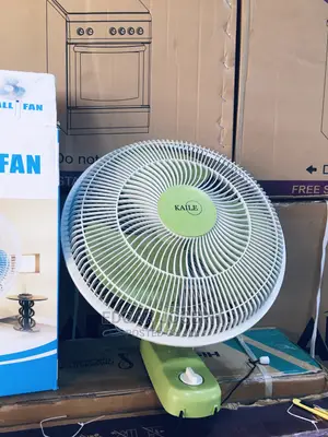 Wall Fan Brand New