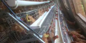 Special Offer on Cage Fabricators. 160 Layer Cage 1.4m