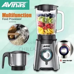 Avinas Food Processor