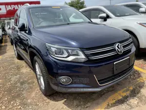 Volkswagen Tiguan S 2013 Blue