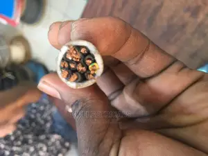 12 Core Flexible Cable
