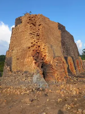 Clay Bricks