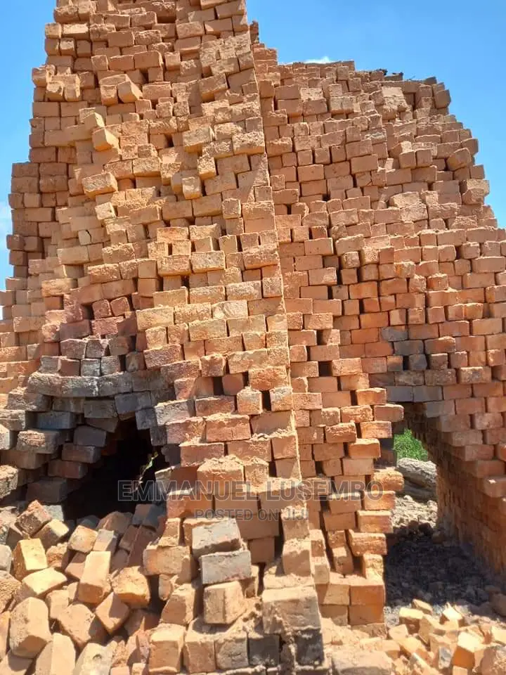 Clay Bricks