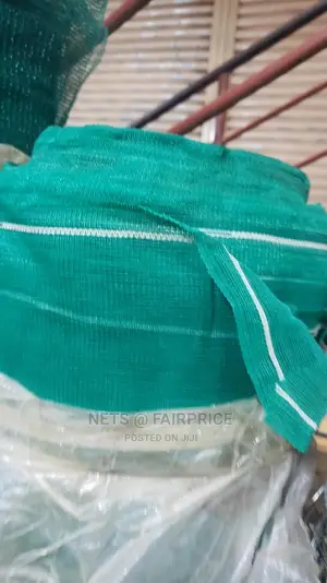 Bulliding Net