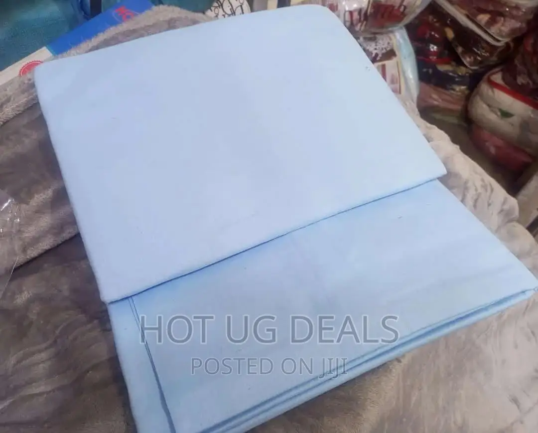 4pcs 5*6 Cotton Bedsheets With 2 Pillowcases- Light Blue