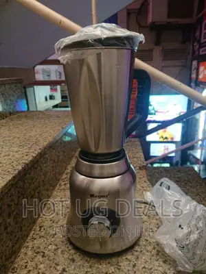 2 In1 Owngreat Stainless Steel Jar Blender _ Silver