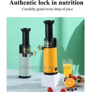 Electric Slow Juicer Fruit Blending Machine-