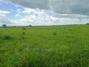 Farmland for Sale in Uganda 6000acres