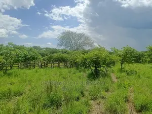 Farmland for Sale in Uganda 5000acres