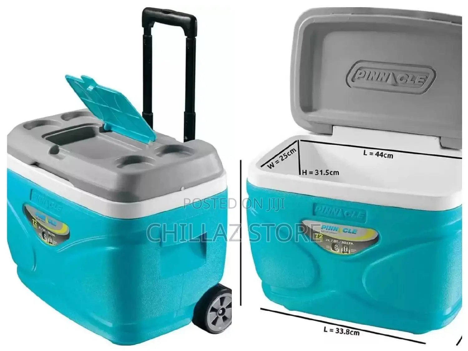 Ice Cooler Bags