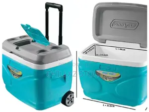 Ice Cooler Bags