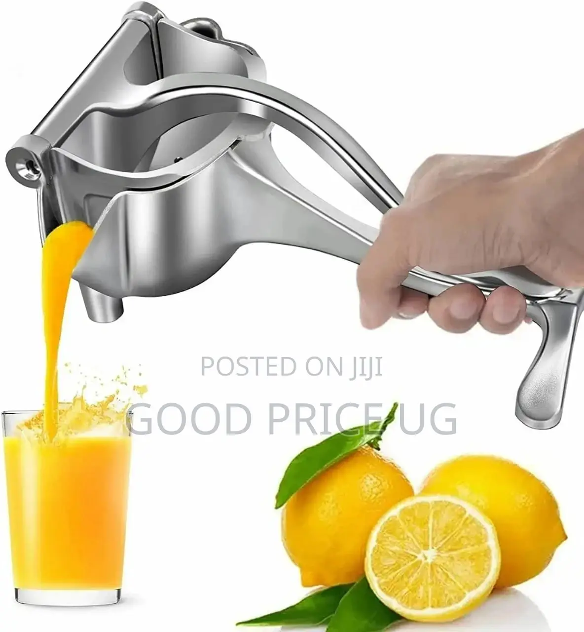 Manual Fruit Juicer