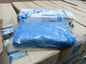 Powder Free Nitrile Gloves