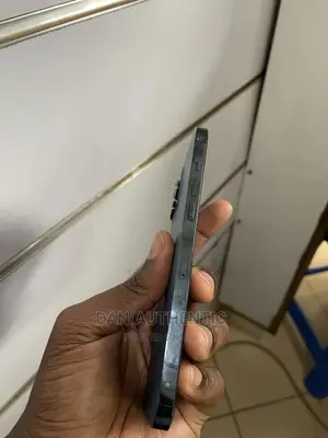 Apple iPhone 12 Pro Max 256 GB Blue
