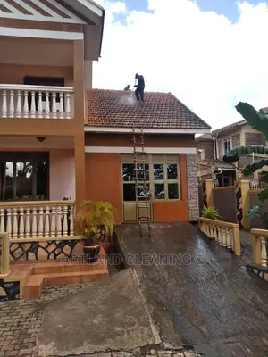 Profesional Roof Tile Cleaning Services