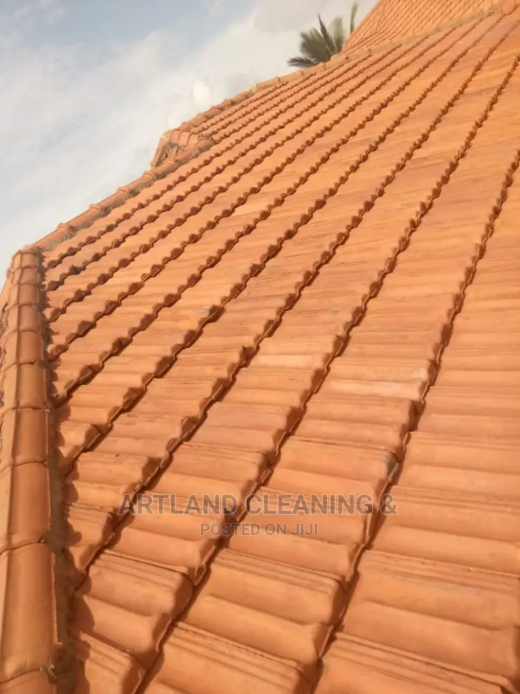 Profesional Roof Tile Cleaning Services