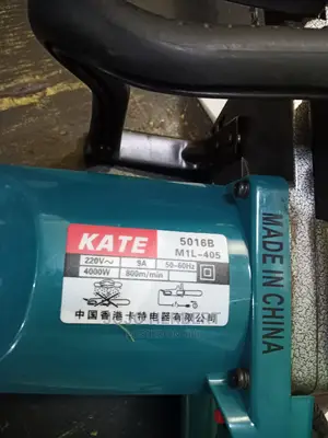 Electric Chain Saws