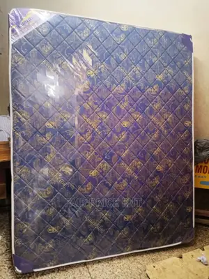 Royal Foam High Density 5x6x8inches.(Blue)