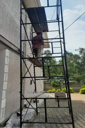 Ladders and Scaffolding