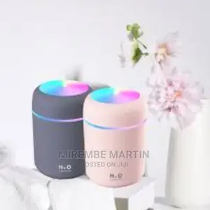 Portable Humidifer