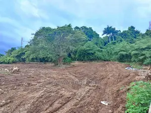 House Construction