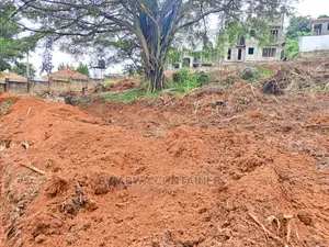 House Construction