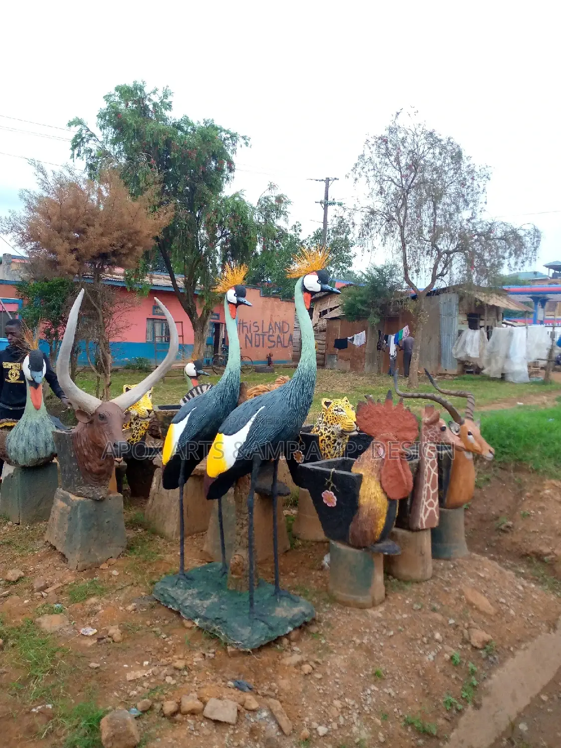 Crestid Crane