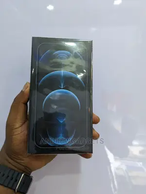 New Apple iPhone 12 Pro Max 256 GB Blue