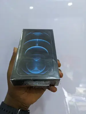 New Apple iPhone 12 Pro Max 256 GB Blue