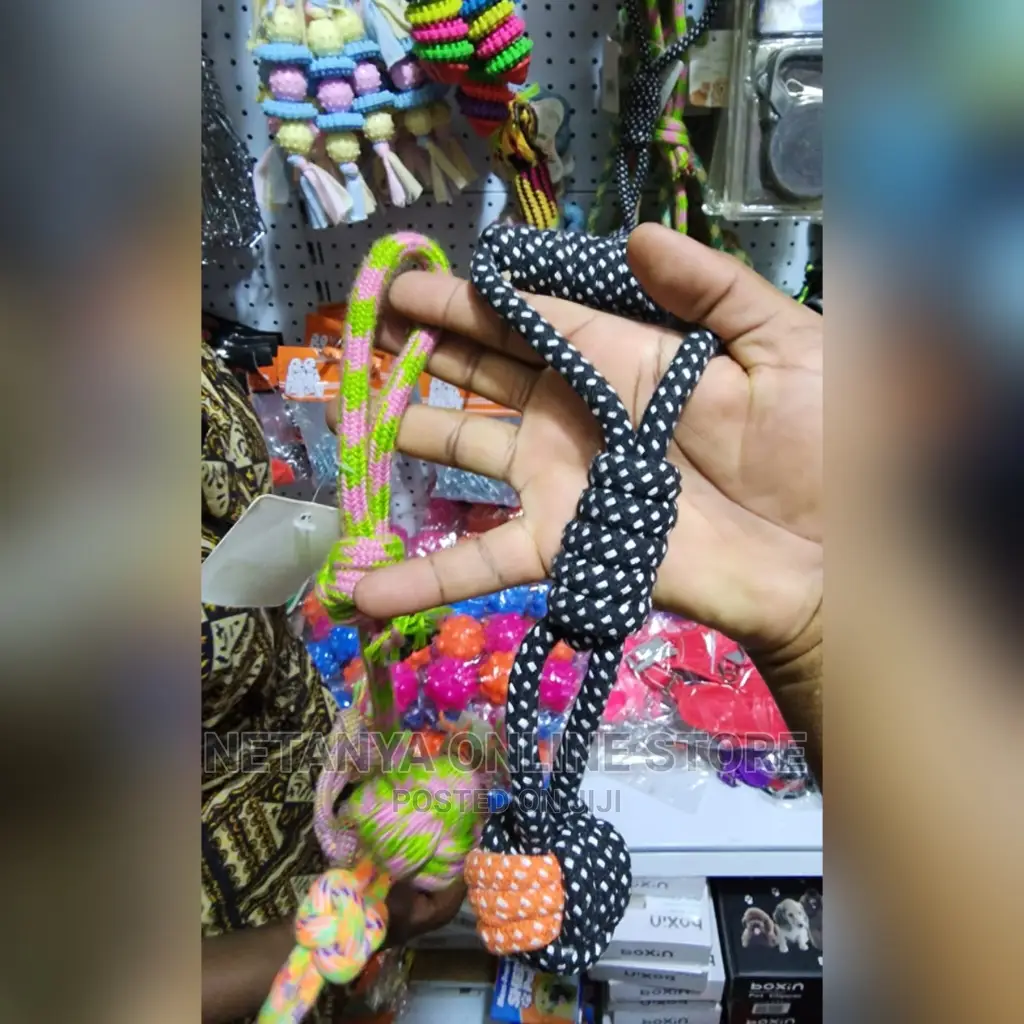 Funny Pet Play Toys
