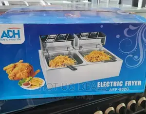 12L Double Electric Deep Fryer - Silver