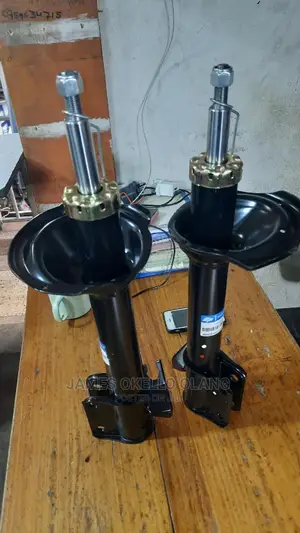 Subaru Forester Sg9 2007 Modle Rear Shock Absorber