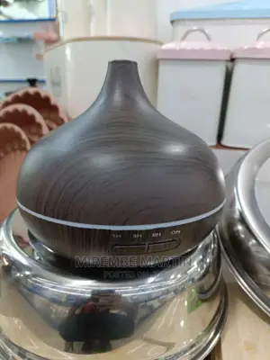 Electric Humidifier