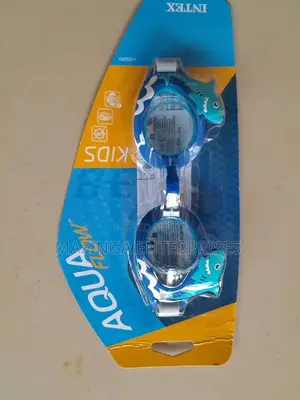 Kids and Adults Intex Dolphin Swimming Goggles